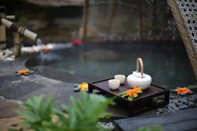 地?zé)釡厝t(yī)養(yǎng)行業(yè)賦能新質(zhì)生產(chǎn)力發(fā)展-地?zé)衢_發(fā)利用-地大熱能 地?zé)釡厝t(yī)養(yǎng)行業(yè)賦能新質(zhì)生產(chǎn)力發(fā)展-地?zé)衢_發(fā)利用-地大熱能